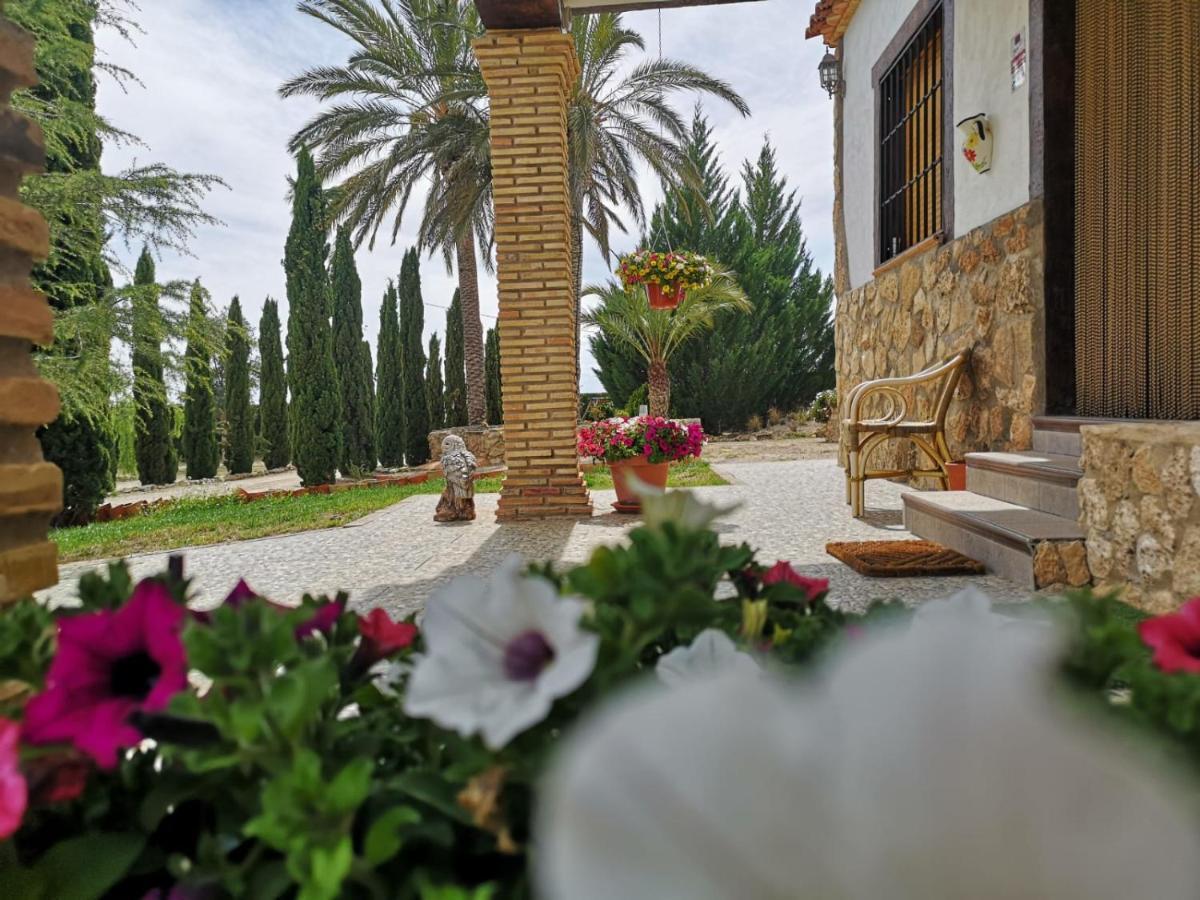 Casa Rural Las Palmeras Tobarra Ngoại thất bức ảnh