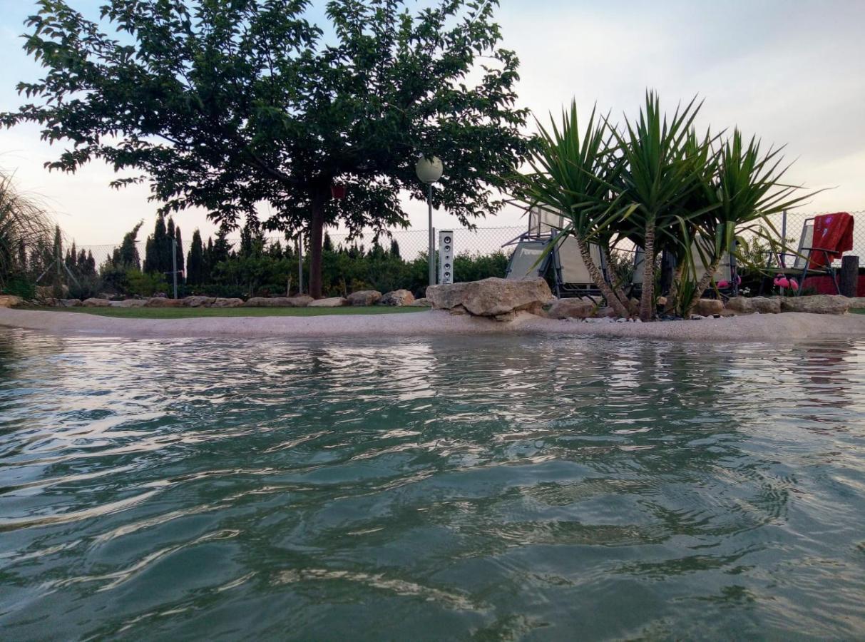 Casa Rural Las Palmeras Tobarra Ngoại thất bức ảnh